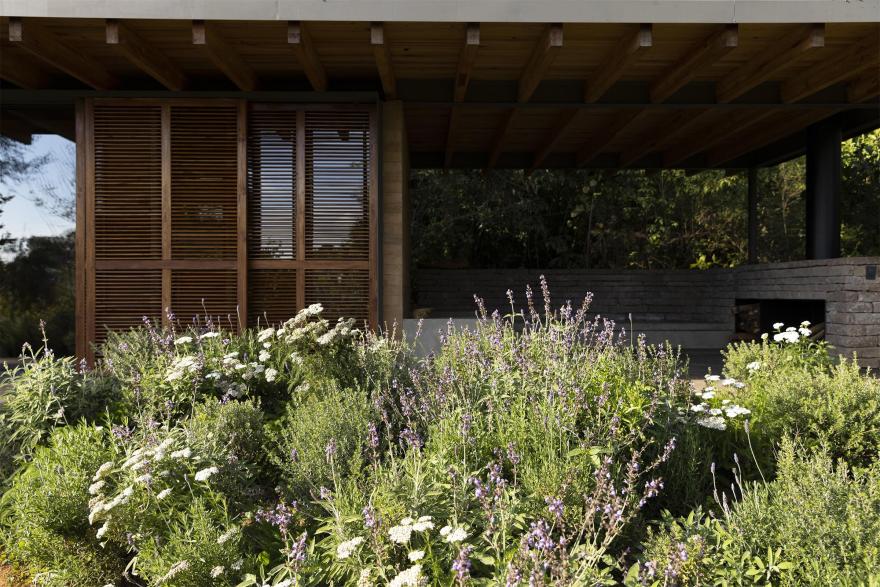 墨西哥森林花园-15