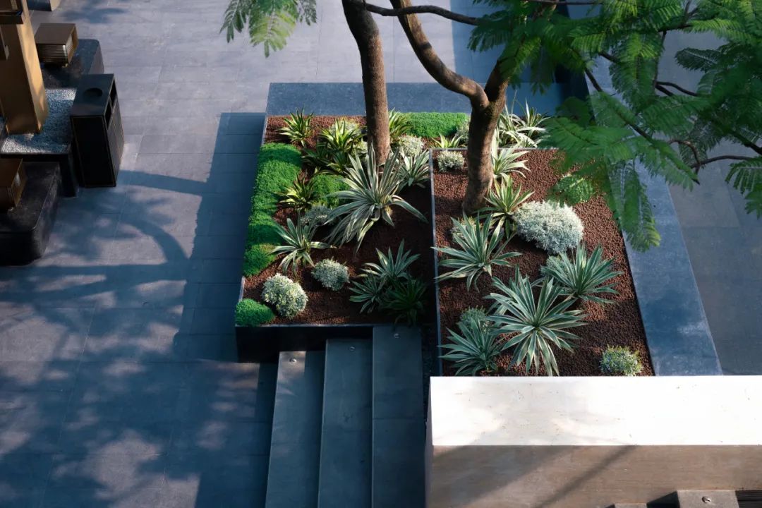 阳光城·天澜道11号丨中国重庆丨朗道国际设计-100