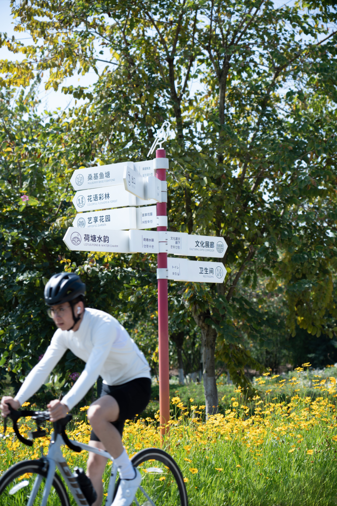 那条飘带 等你触碰:成都大运公园,BOXI柏熙标识丨中国成都丨上海柏熙标识有限公司-54