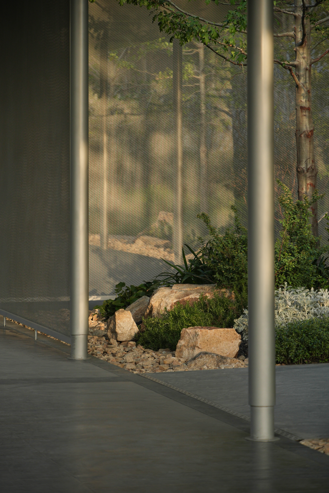 让山林的风，吹向城市|苏州蠡棠森屿-41