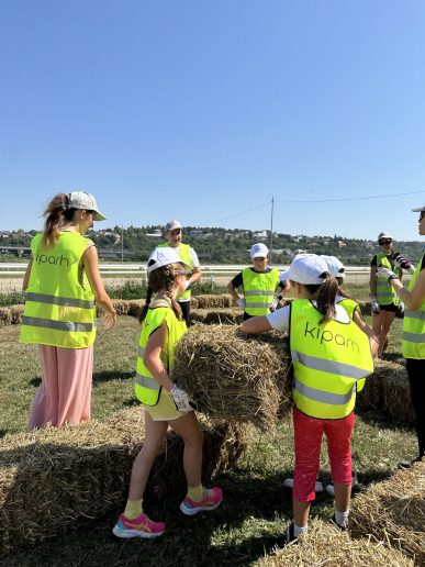 丨贝尔格莱德丨贝尔格莱德建筑学校（Kiparh相关人员）-21