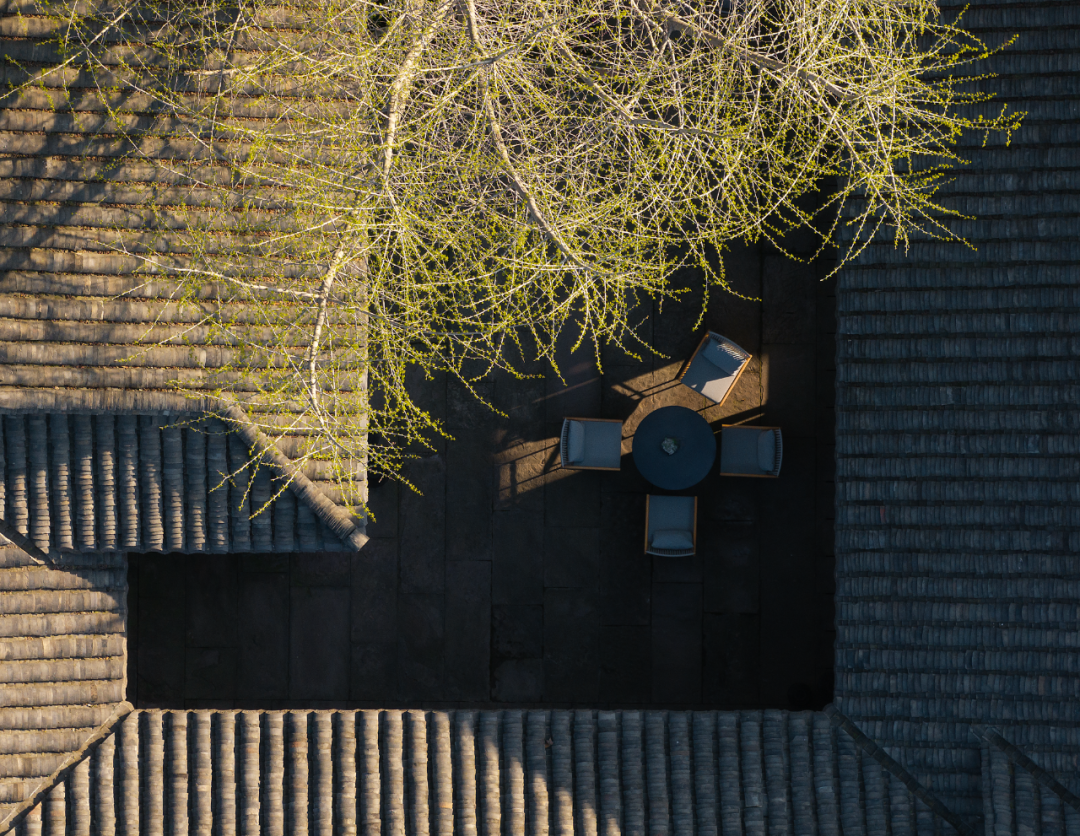 相上丨城厢古镇·璞域：阴翳中的回响-61