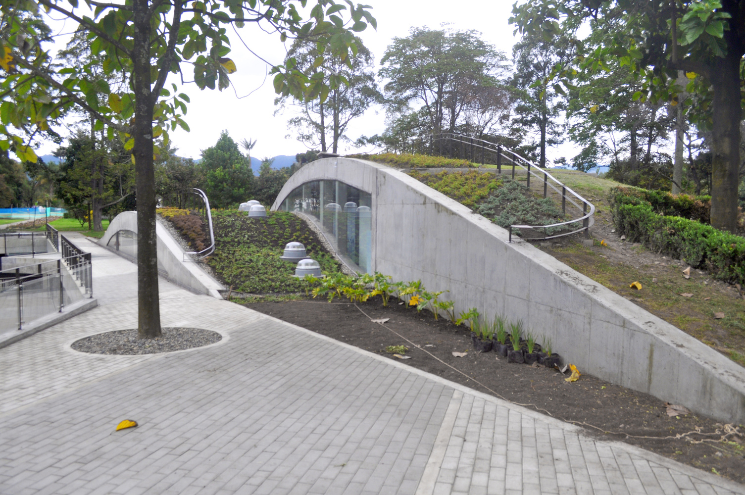 波哥大植物园植物标本馆-50