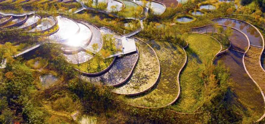 西安雁南公园(二期)丨中国西安丨土人设计(Turenscape)-105