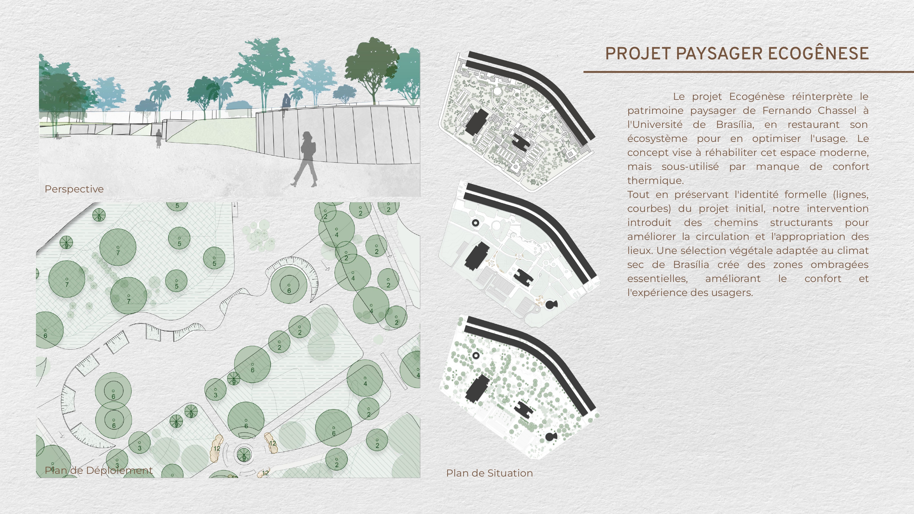 Portfolio - Mariana Leite-20