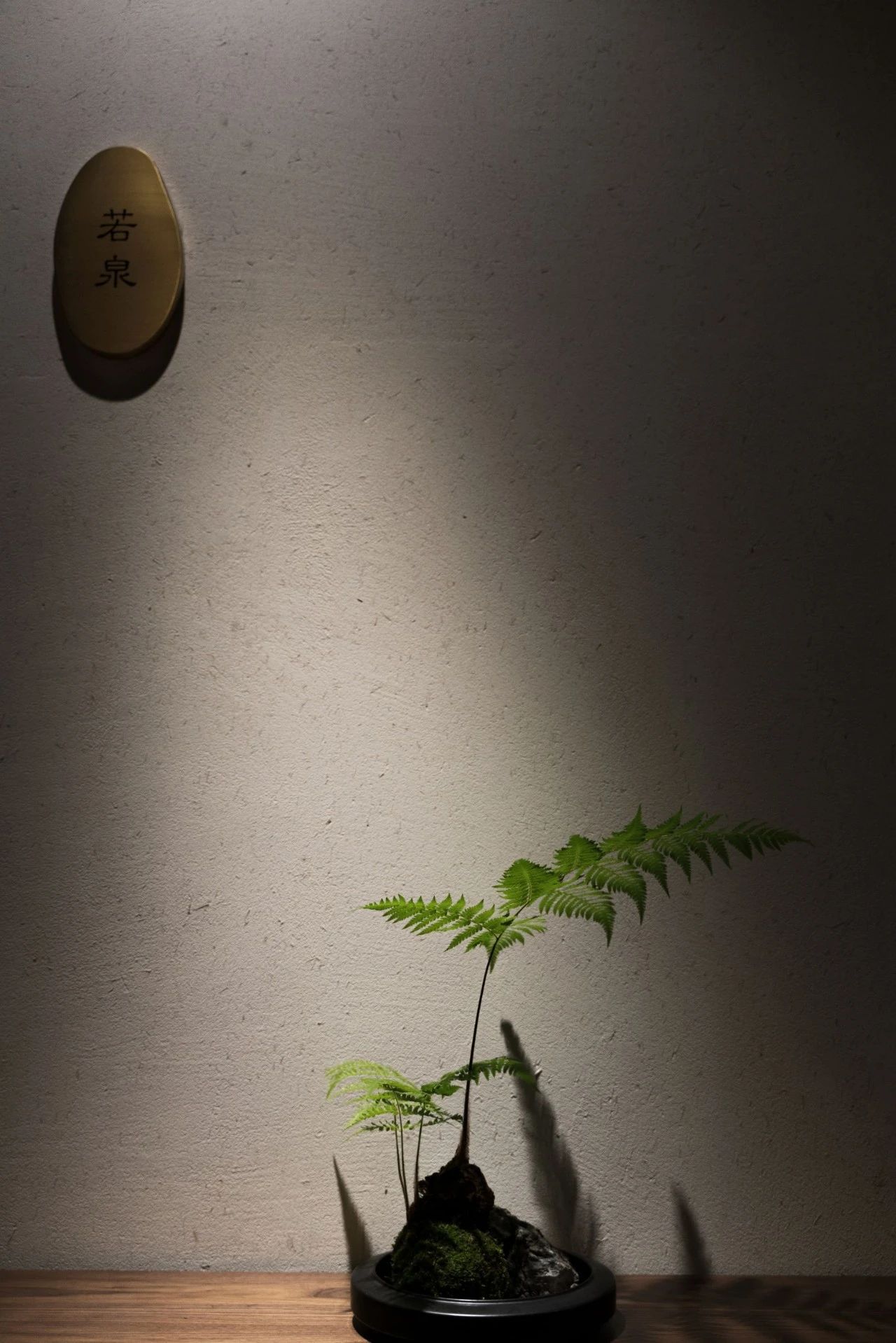 隐泉茶室 | 山涧清泉,都市幽静-52