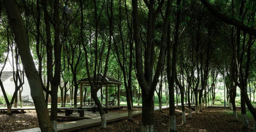 苏州市震泽镇“五美三优”乡村改造丨中国苏州-26