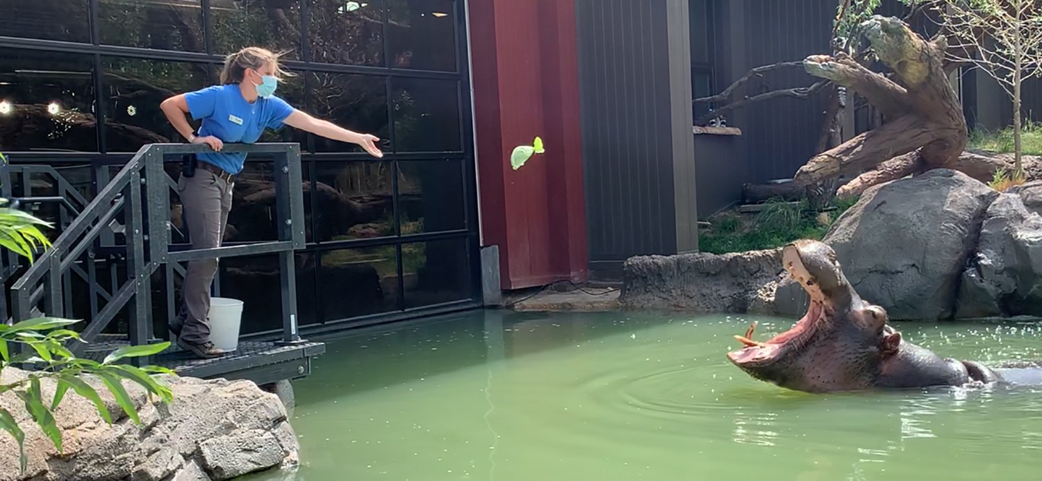 水际之地：非洲丨美国科罗拉多斯普林斯丨SH|R Studios-21