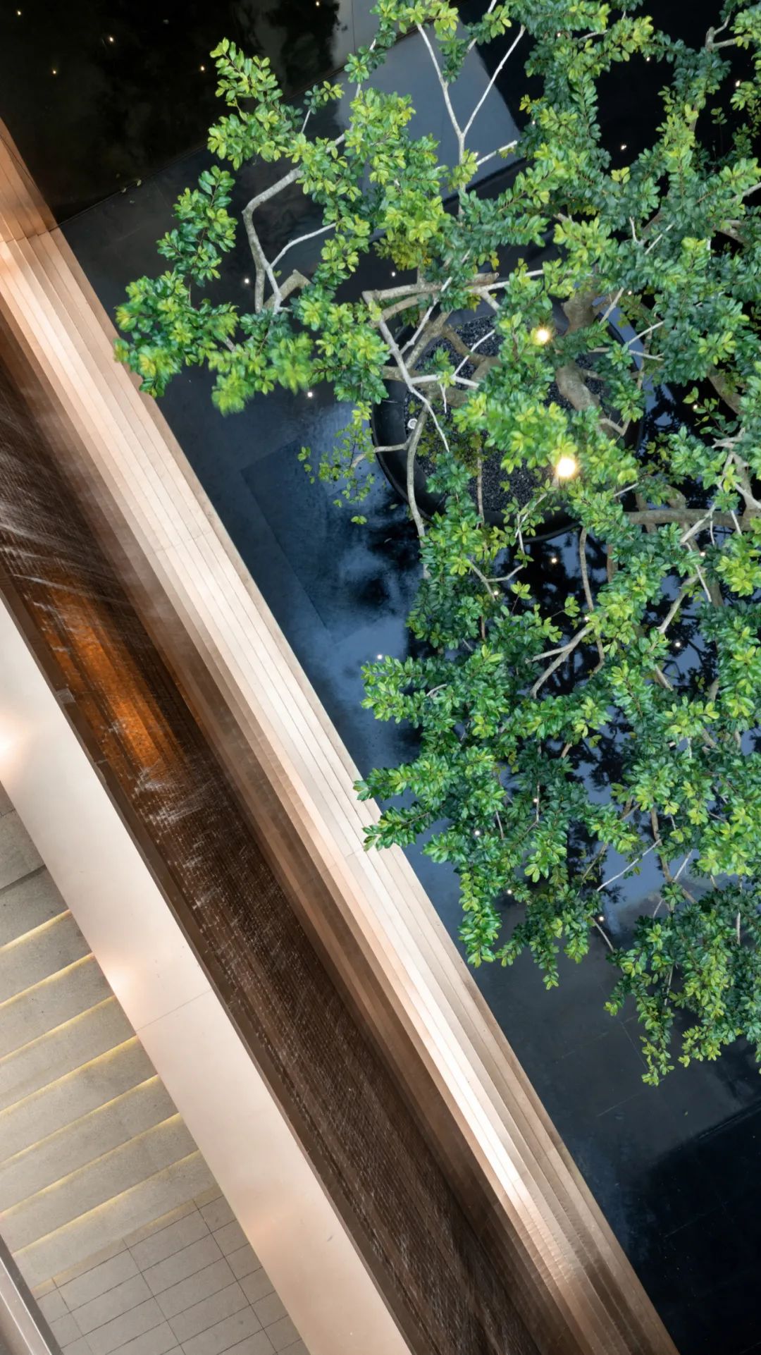 顺德美的世茂·滨江壹号丨中国佛山丨广州邦景园林绿化设计有限公司-2