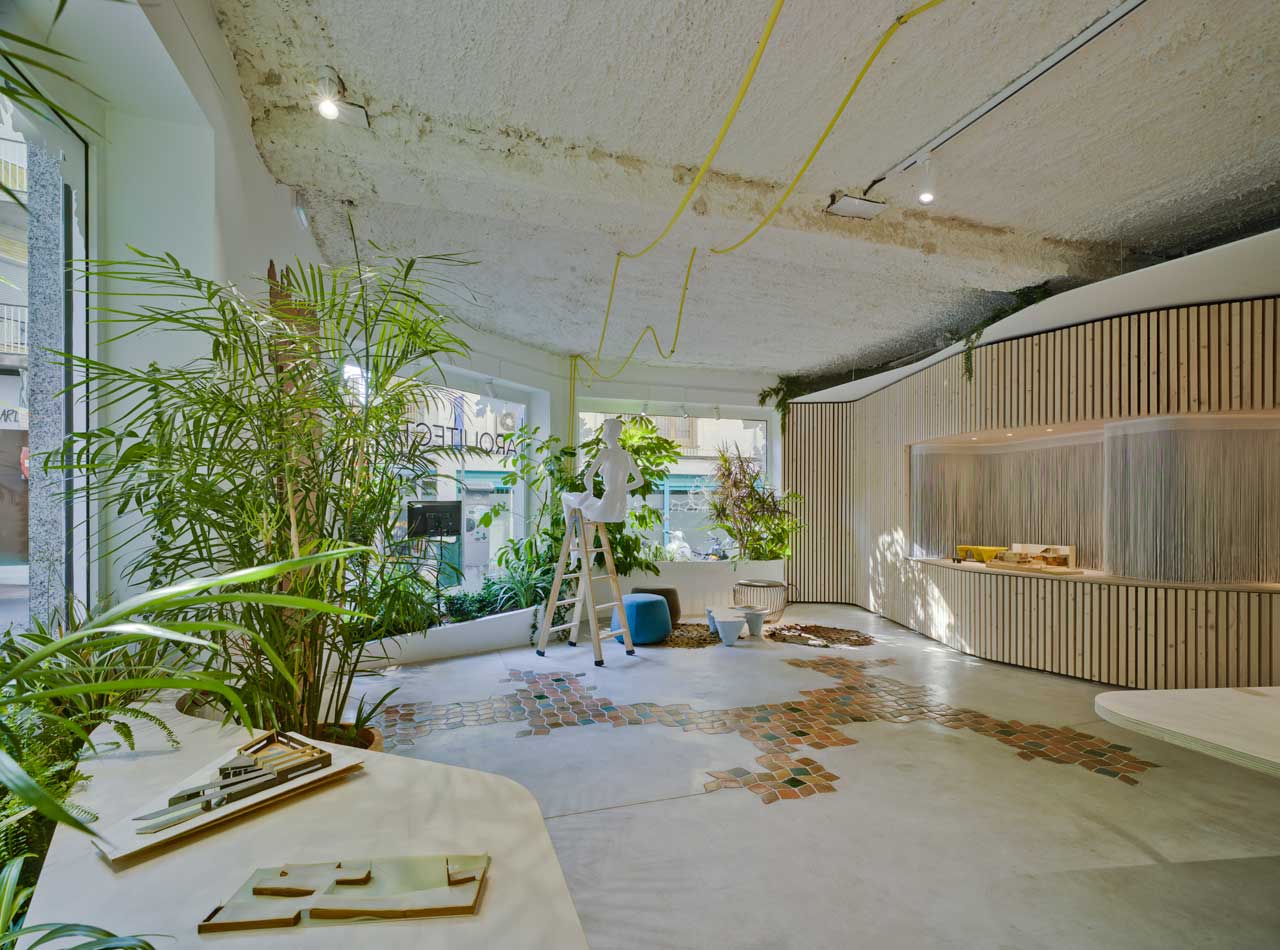 Antonio Maciá打造自然风绿意办公室-6