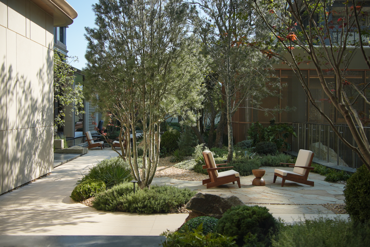 青岛金茂璞逸世园示范区丨中国青岛丨MIND迈德景观-102