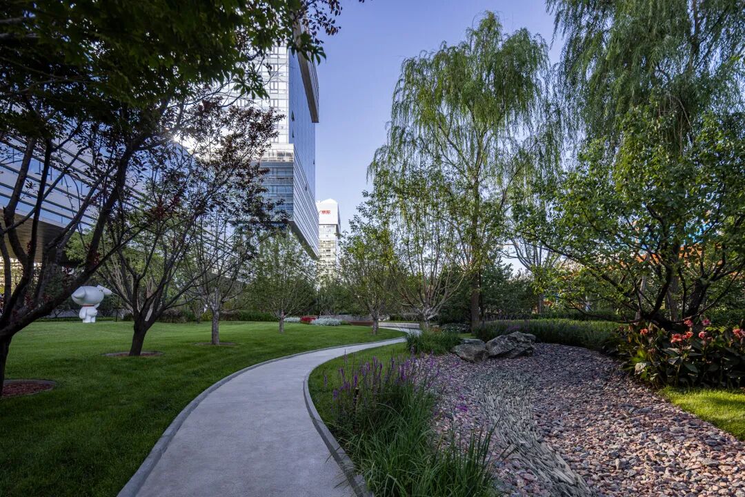 北京京东集团全球总部2号园区D座景观设计丨中国北京丨阿普贝思UP+S-79