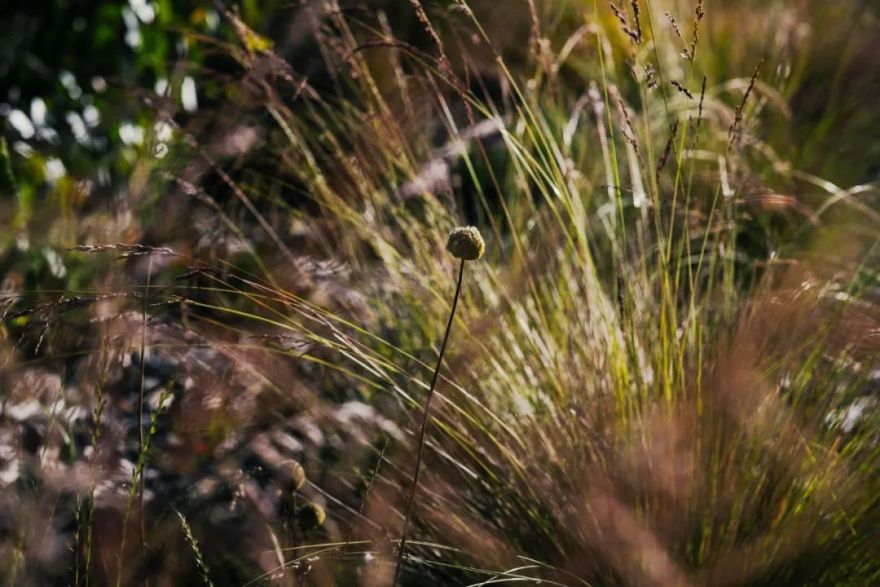 墨尔本及周边地区铁路平交道口移除改造项目(LXRP)丨澳大利亚墨尔本丨Hassell-48