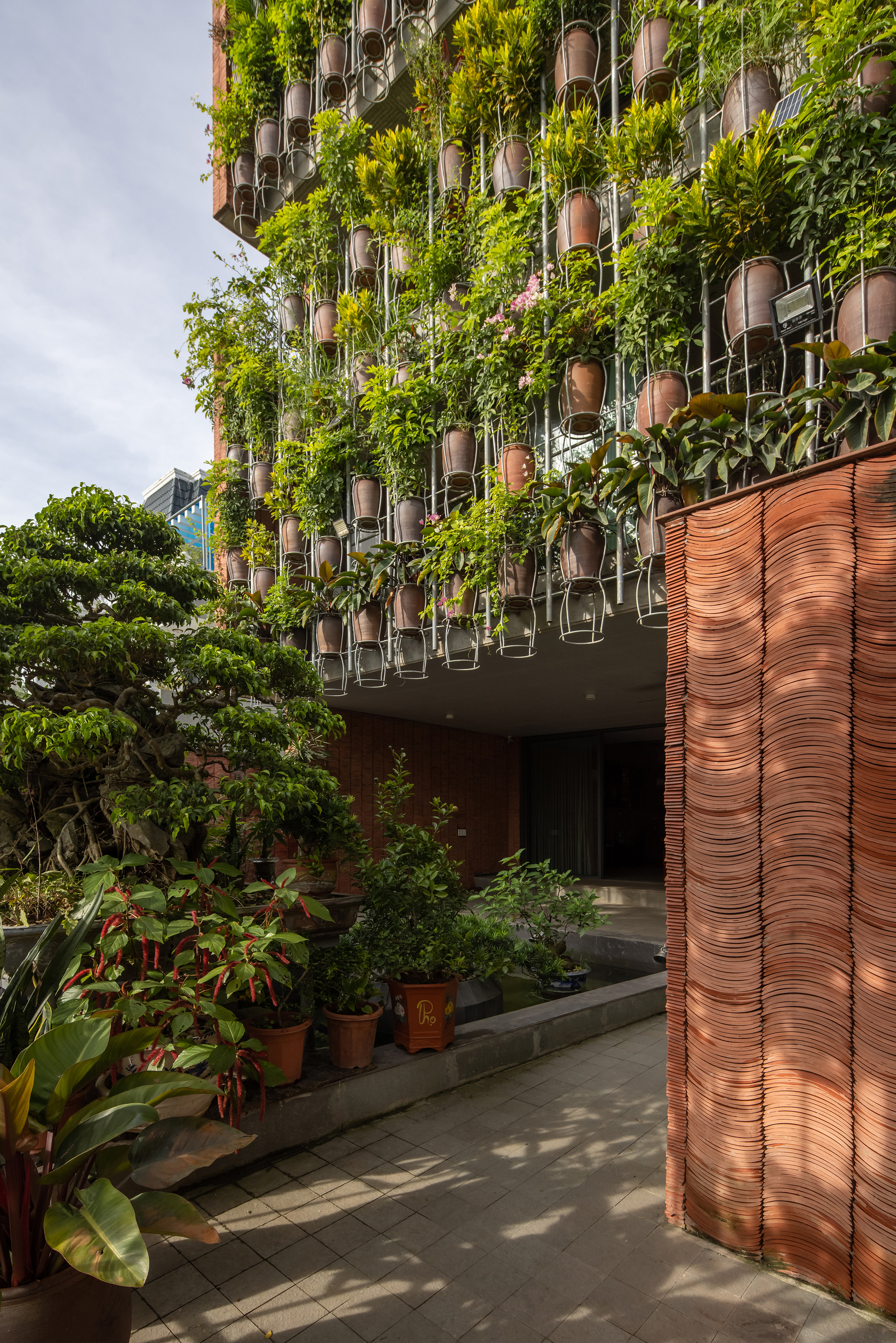 飞行植被丨H&P Architects-11