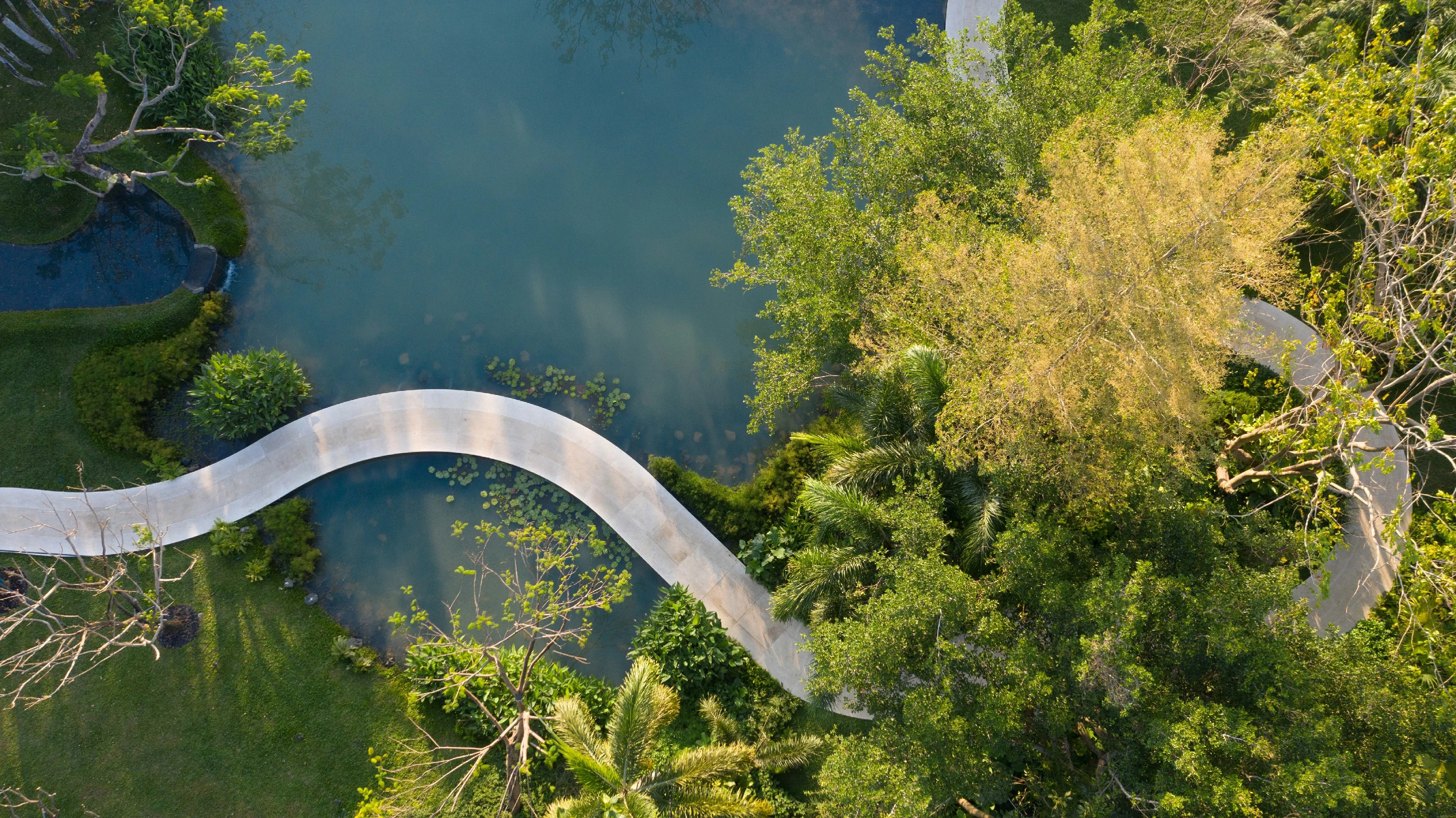 三亚观岚花园:田园理想,自然作画丨中国三亚丨Z’scape致舍景观-45