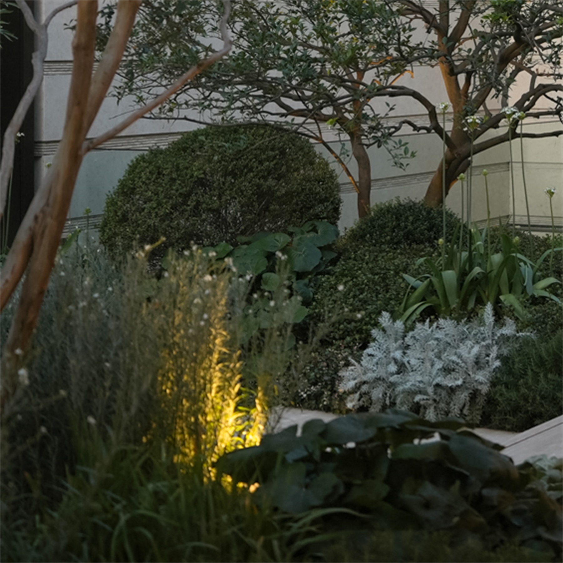 南京绿城金基·沁百合丨中国南京丨广州观己景观设计有限公司-70