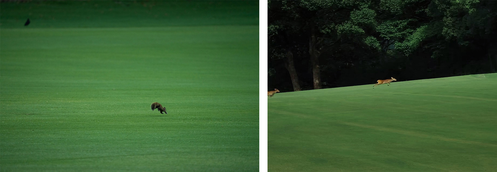 西湖高尔夫丨中国杭州丨NCD Studio 玖鹿设计-49