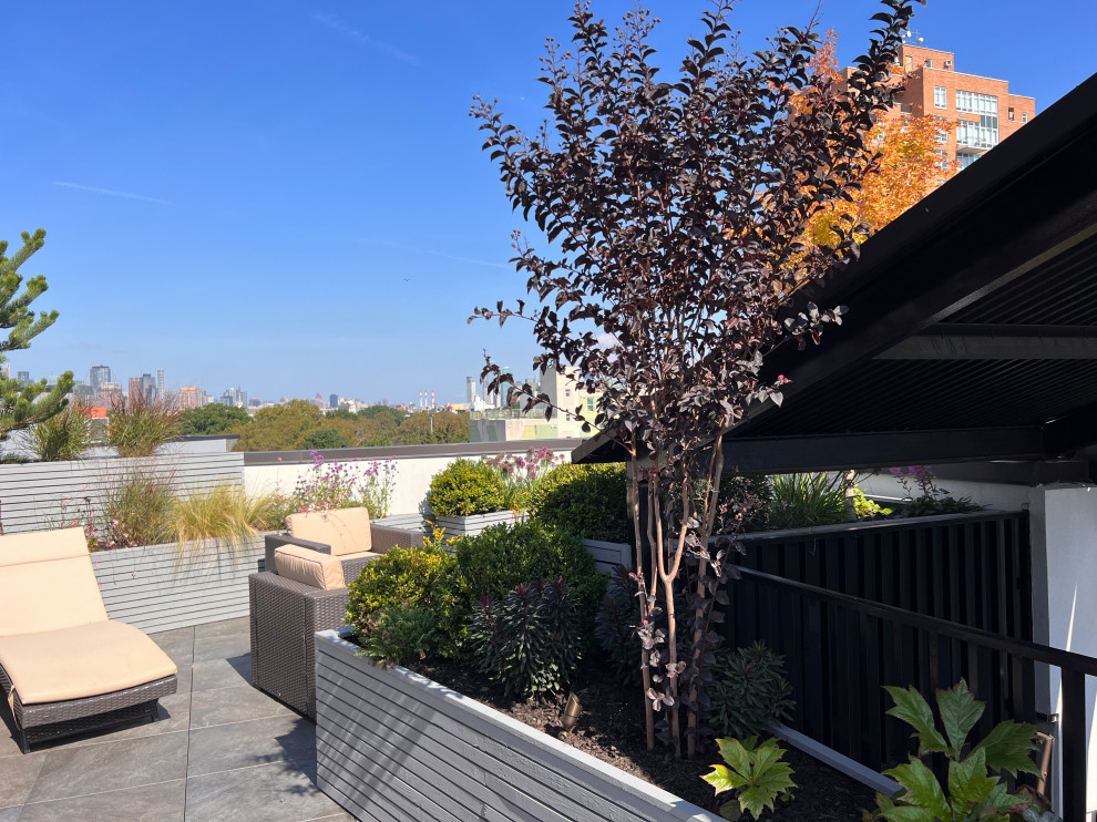 Williamsburg Roof Garden-38