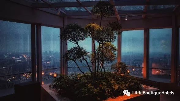 云端梦境,璟宁·云中酒店的简约设计之美-29