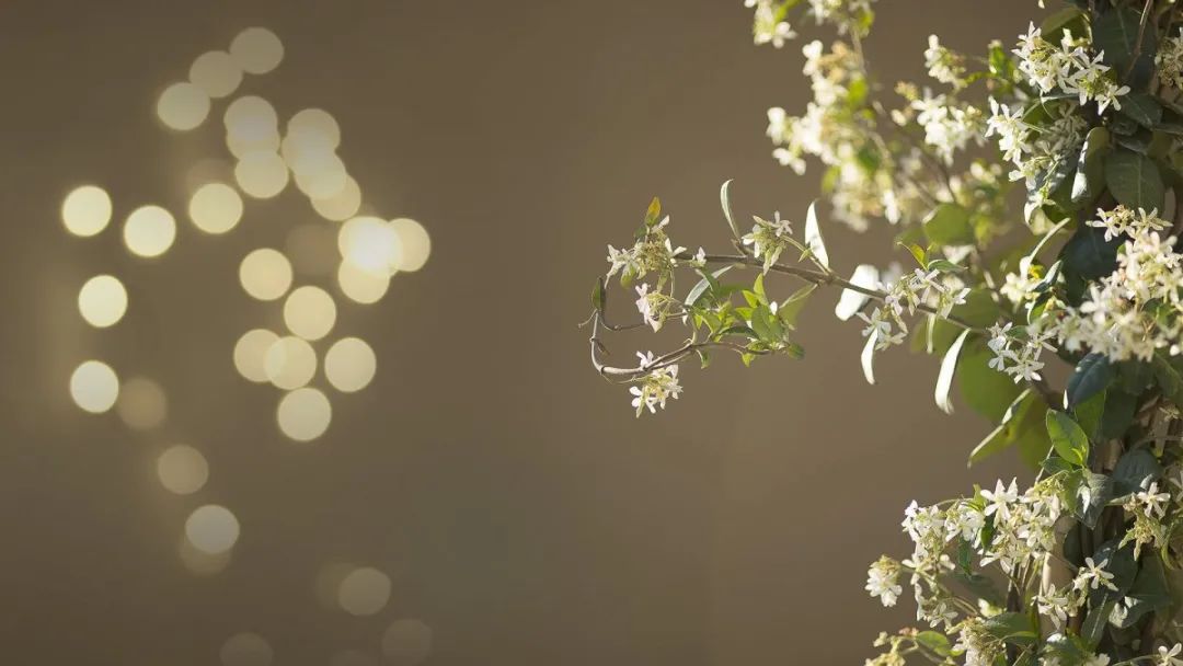 傅厚民东西方文化交汇设计合辑-146