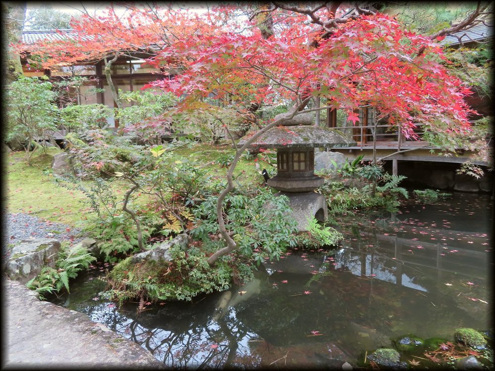 南禅寺参道菊水·红叶之庭园丨七代目小川治兵衛-31