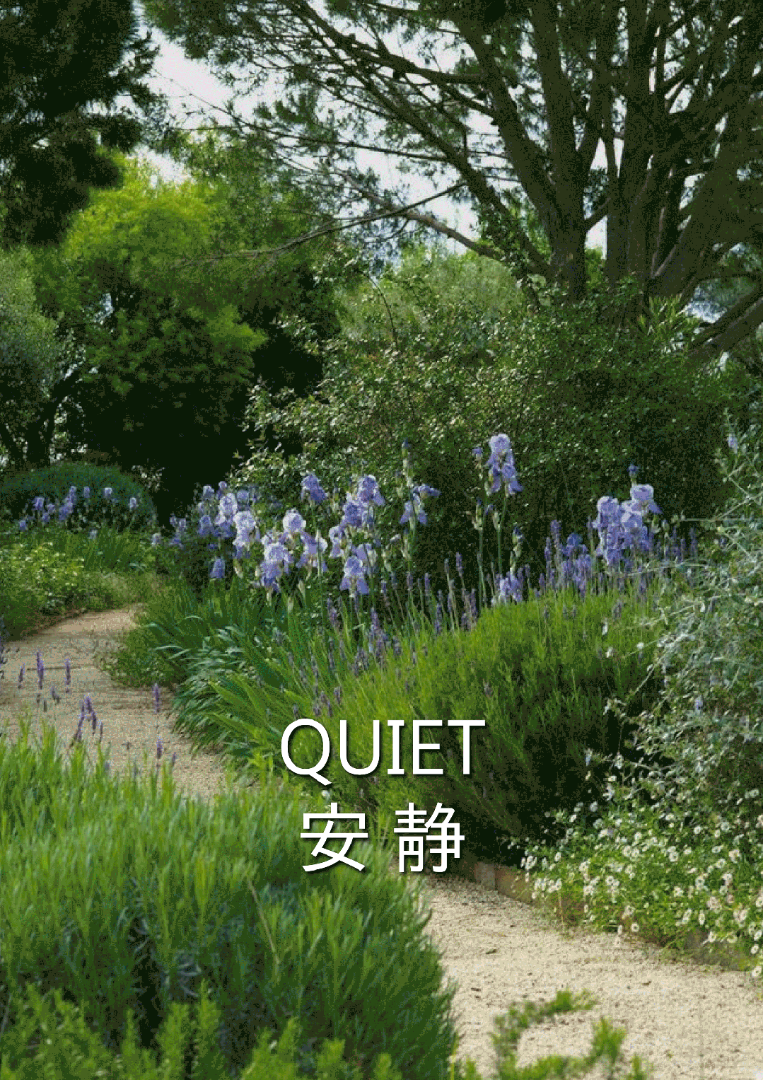 珠海华润银行总部丨海岸边的花园-14