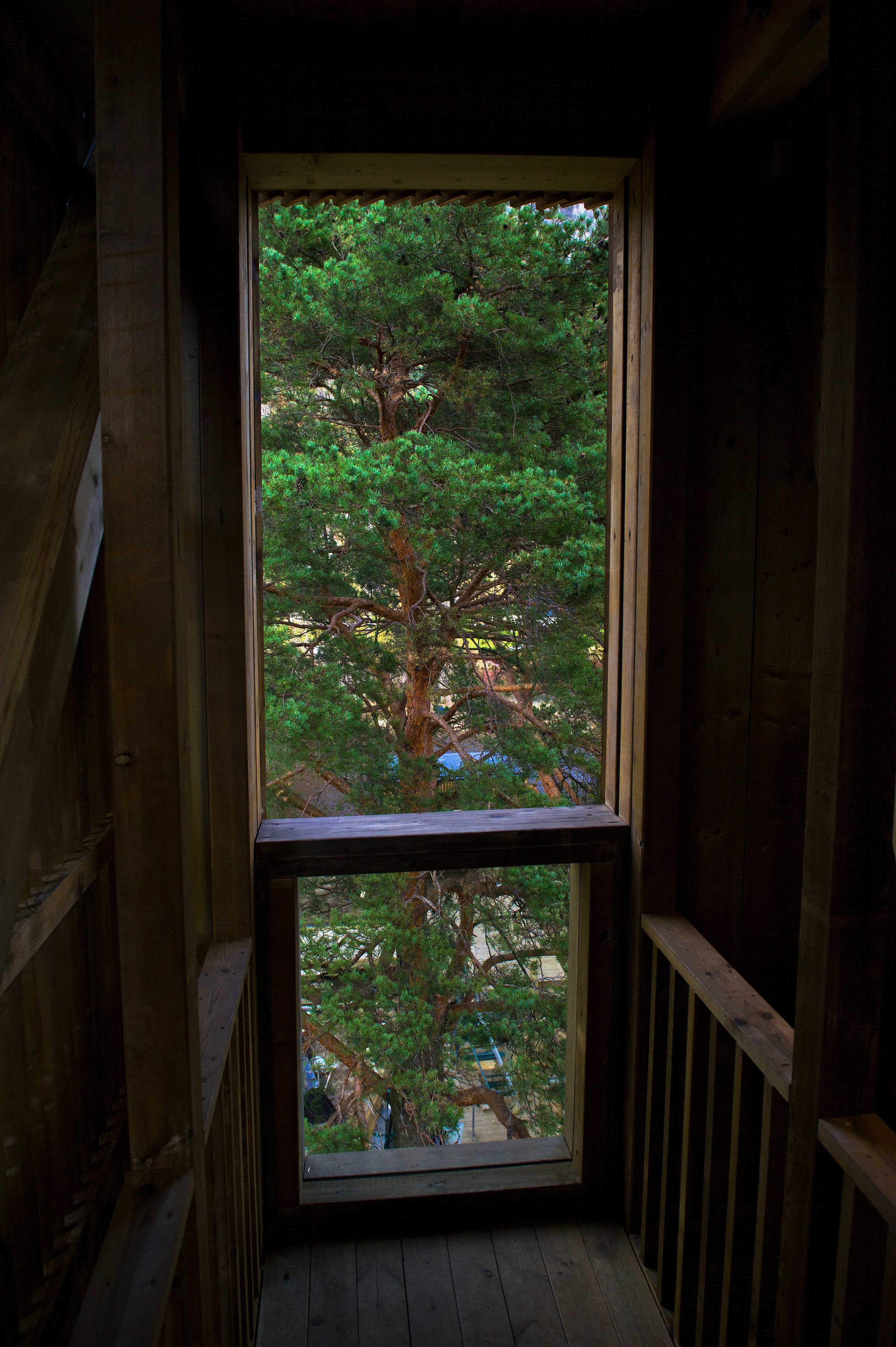 塞尔约德观景点-9