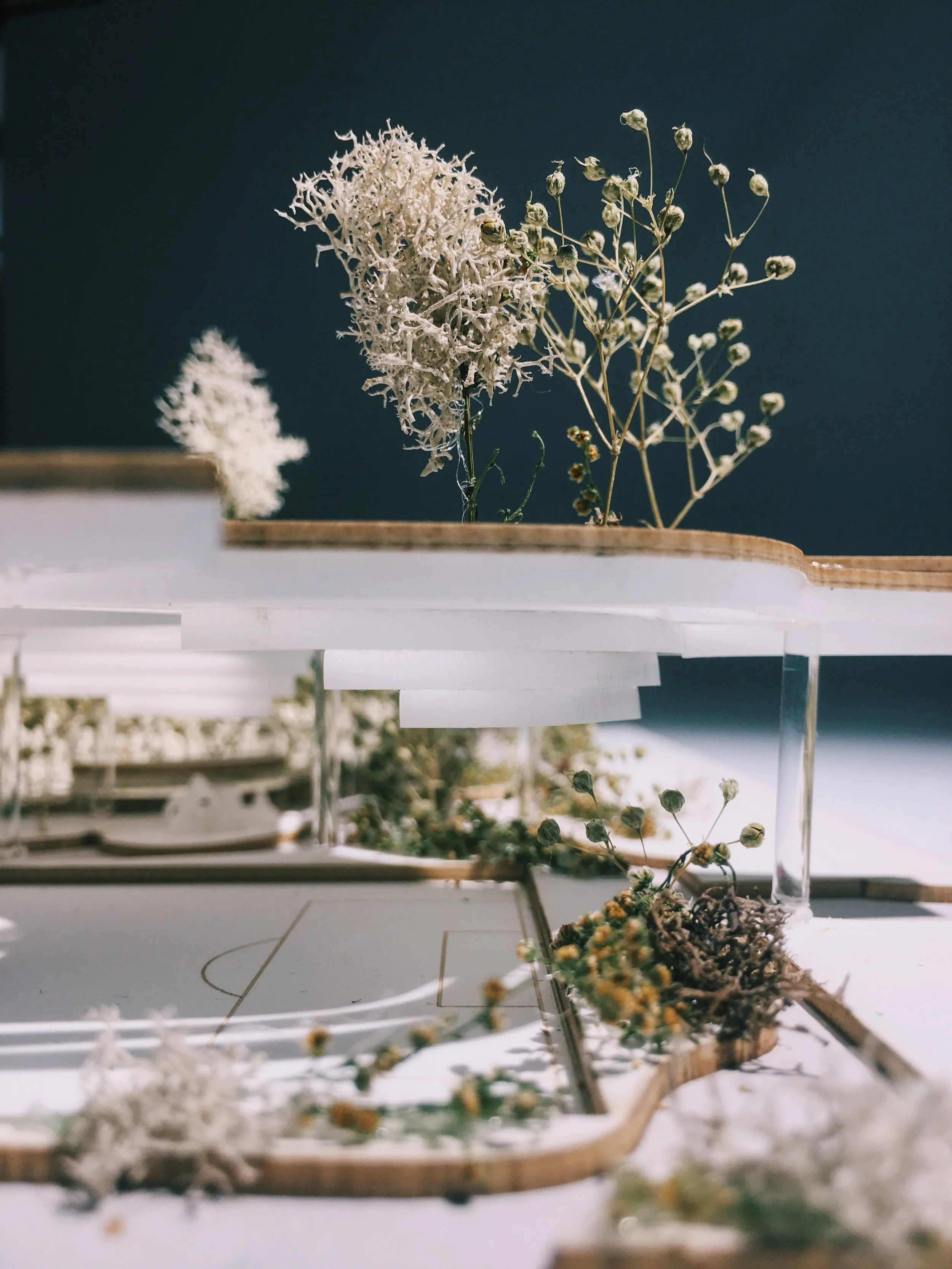 城市树木农场 + 公园丨美国曼哈顿-25