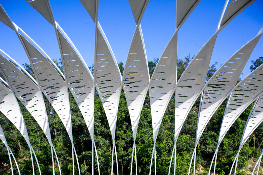 访谈专辑第二十一期 & 张唐景观-40