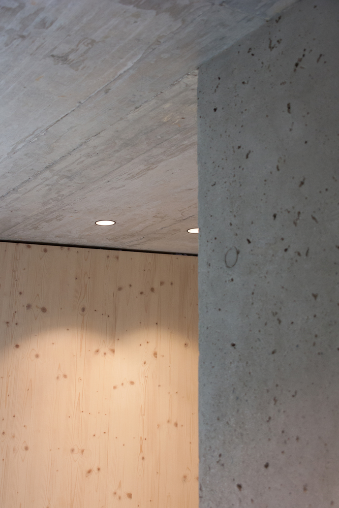 奥地利萨尔茨堡山上的现代木屋住宅设计丨lechner & lechner architects-38