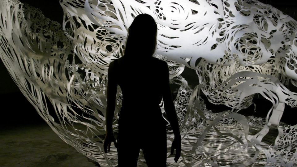 小岛奈保子 · 蓝鲸纸雕的震撼之美-18