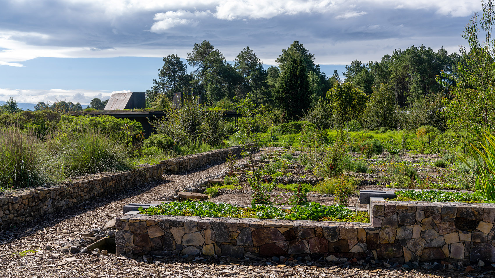 墨西哥雨水收集之家丨Robert Hutchison Architecture + JSa-39