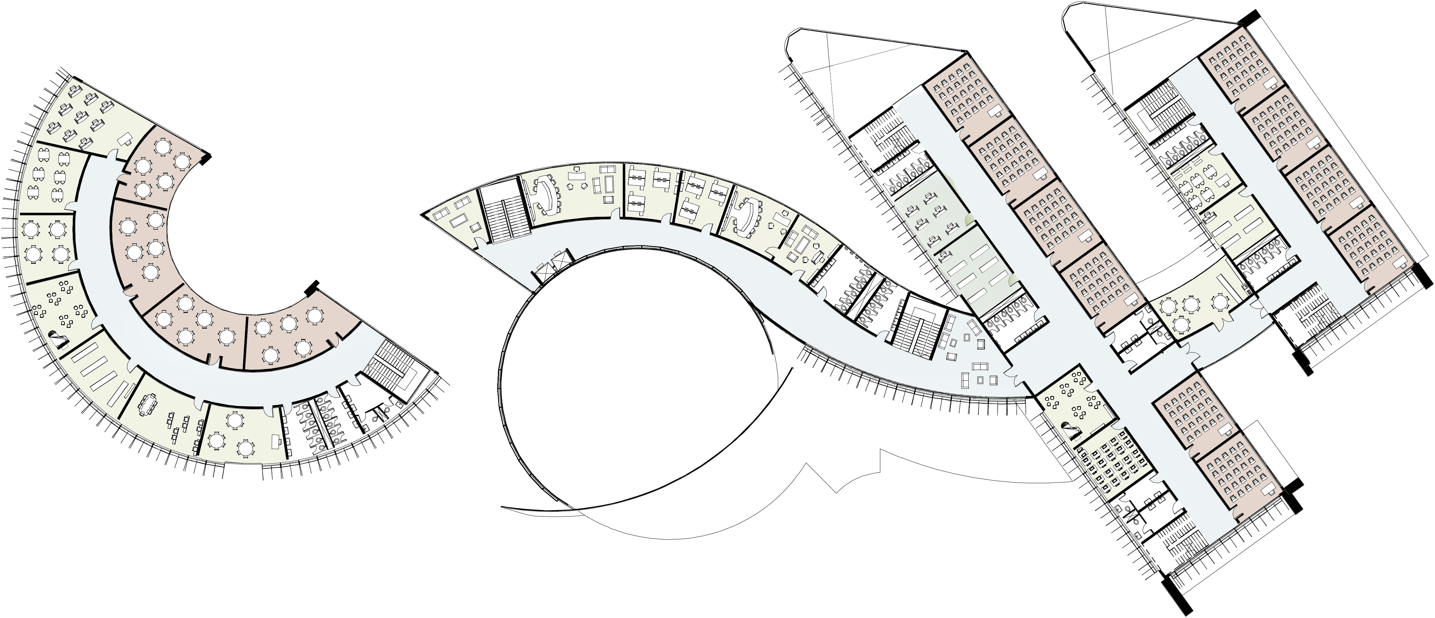 国际学校丨埃及开罗-14