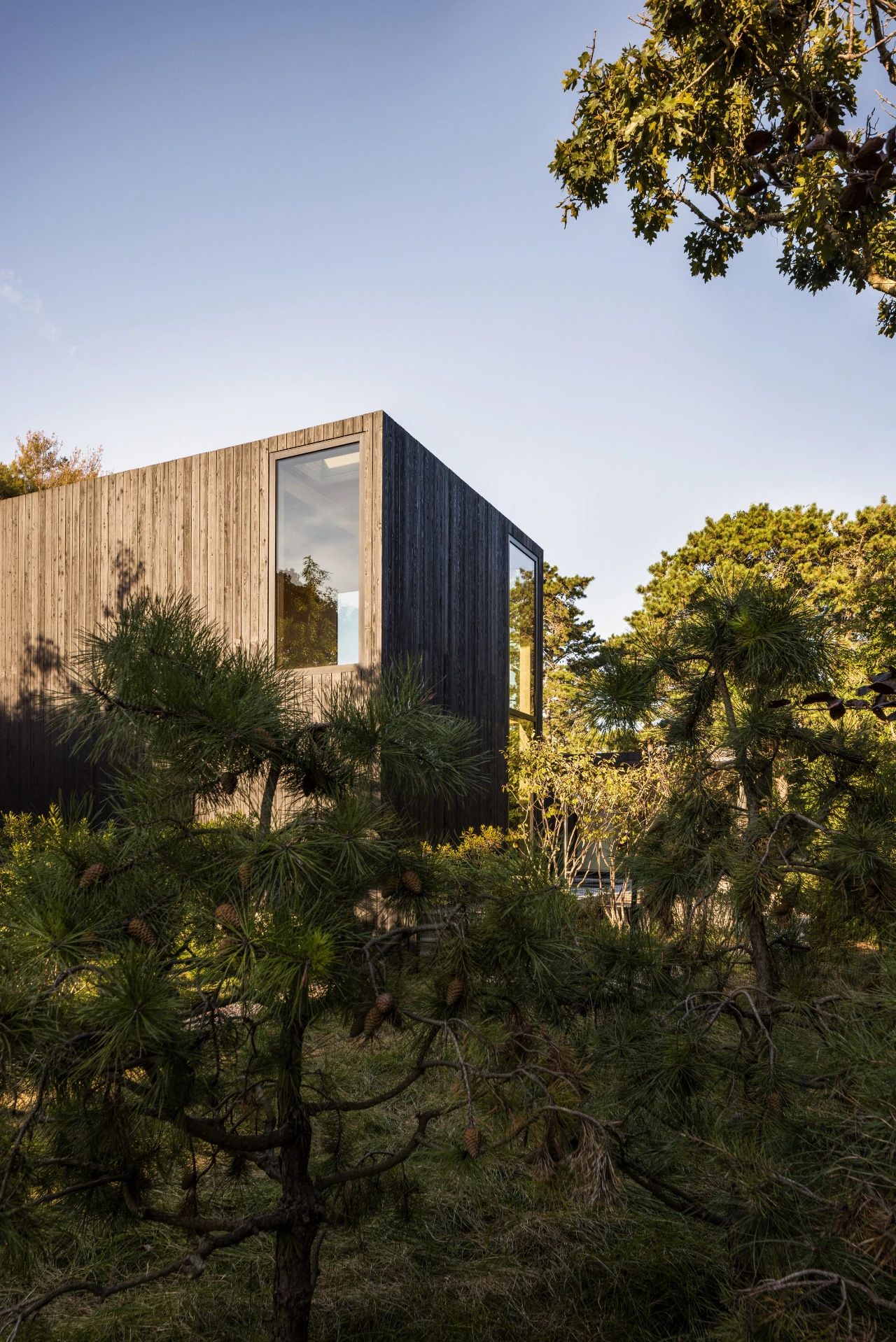 库埃纳瓦卡住所丨美国奥斯汀丨Alterstudio Architecture-96