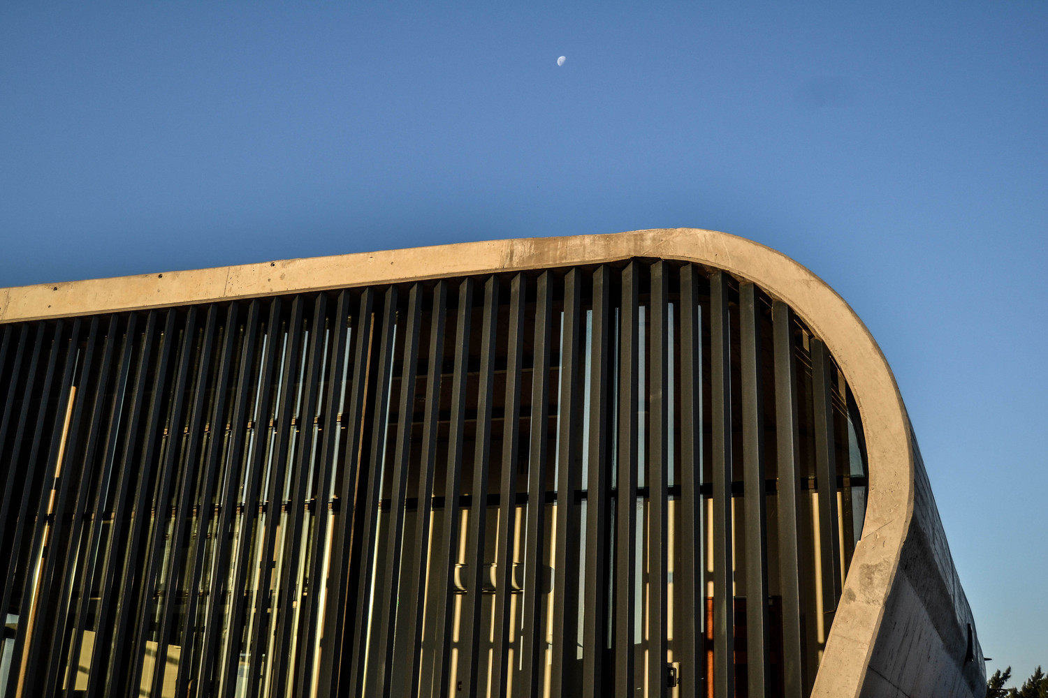 RBIDZ Entrance Gate  Jeremy Steere Architect-35