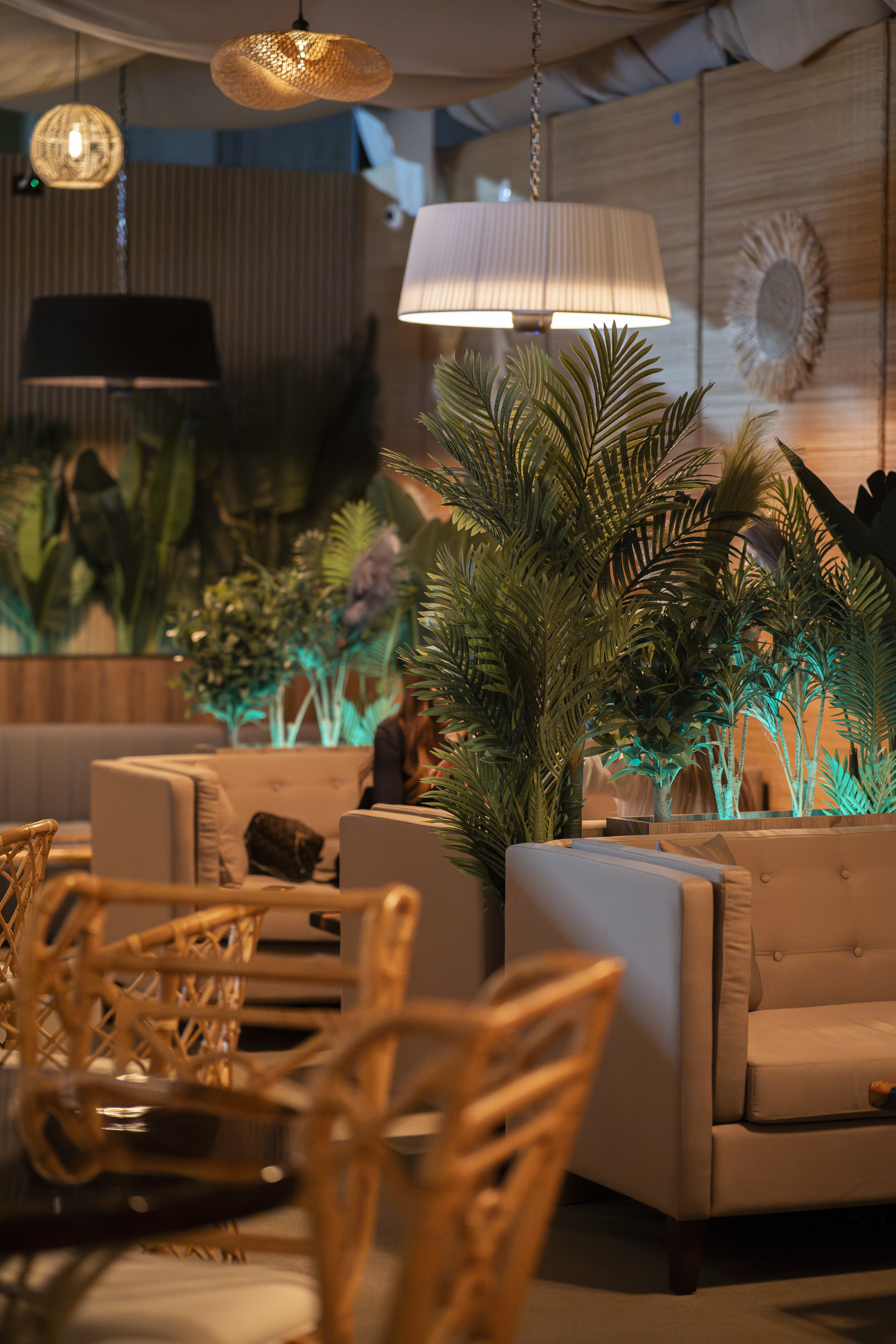 黑莓之乐丨AlgeriaOran-14