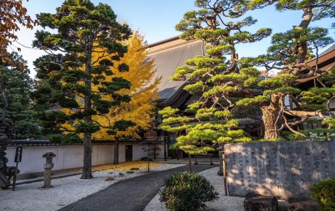 梦窗疏石·禅庭闲寂丨日本-51