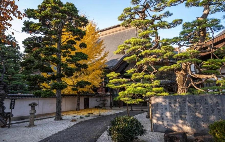 梦窗疏石·禅庭闲寂丨日本-51