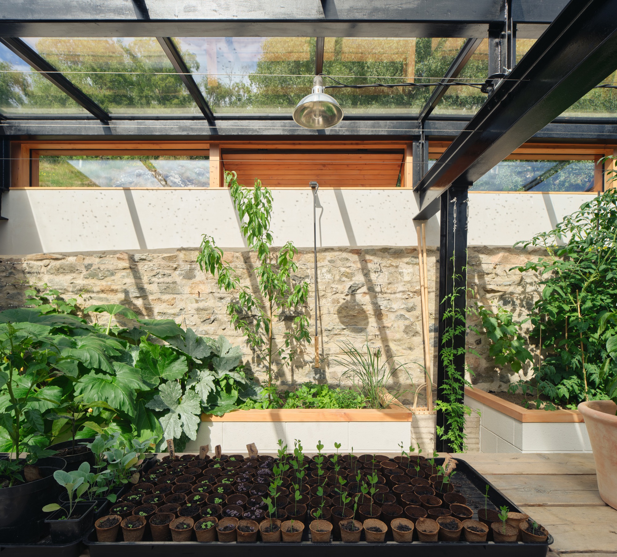 阿多赫宅邸丨英国阿伯丁丨Moxon Architects-20