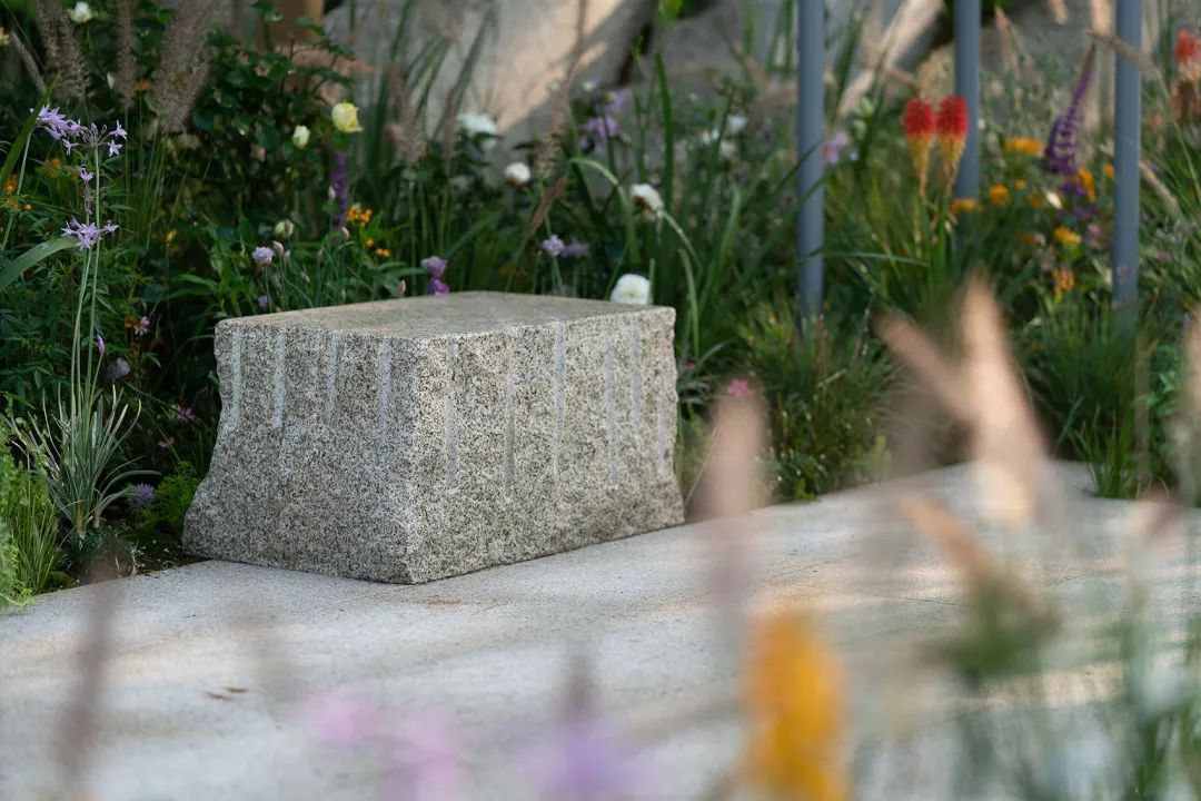 天壤云影丨中国深圳丨MC William studio+至岸景观-33