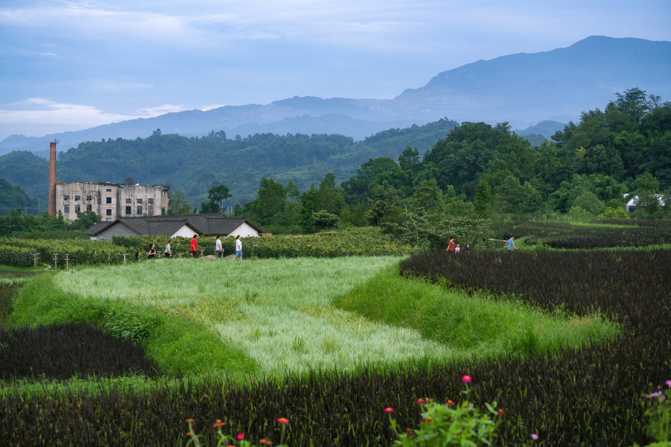 峨眉·高桥小镇丨中国眉山丨四川乐道景观设计有限公司-89