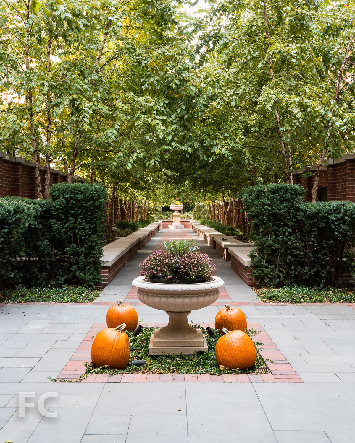 Building Tour: The Greenwich Lane — FIELD CONDITION-35