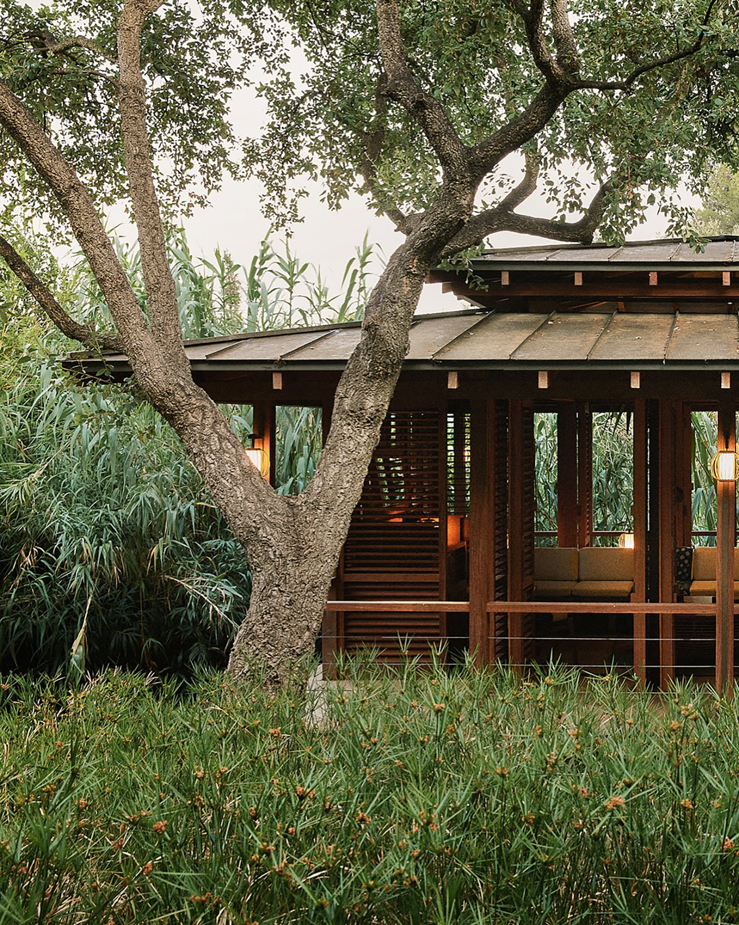 自然中的静谧沉思-11