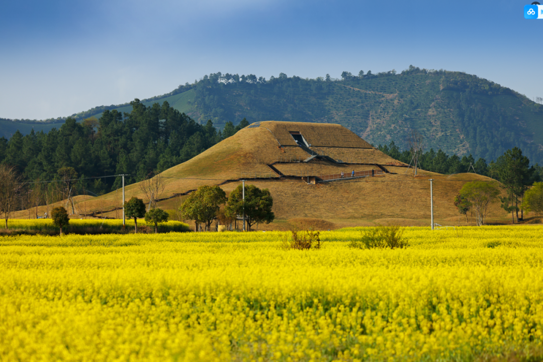 八亩墩越王陵正式开放-2