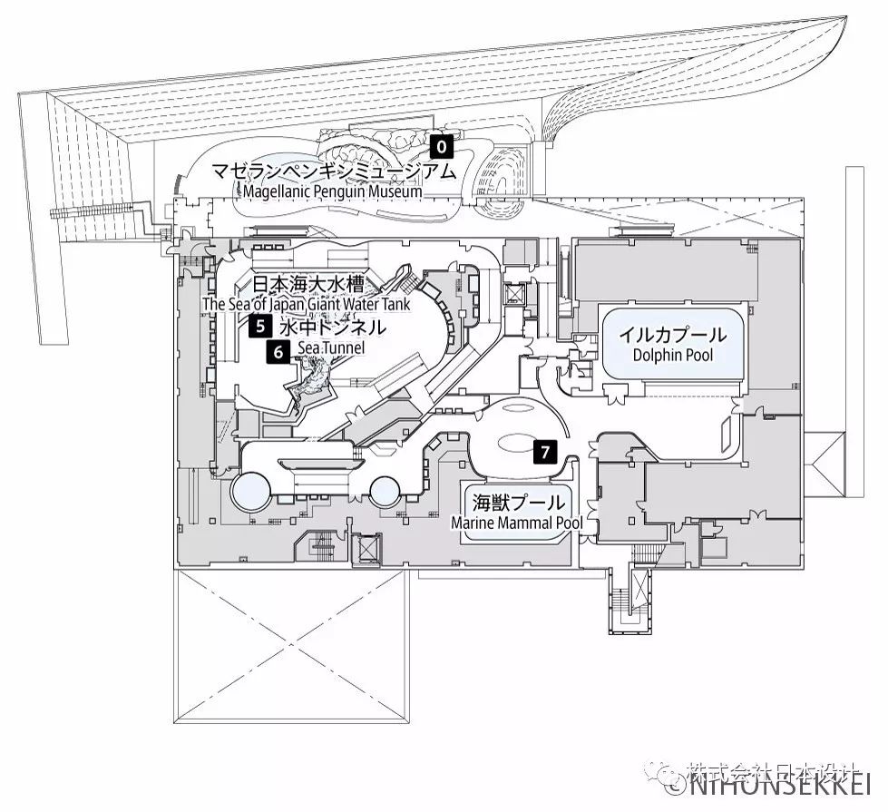 上越市立水族博物馆 | 沉浸式体验日本海的壮美海景-20