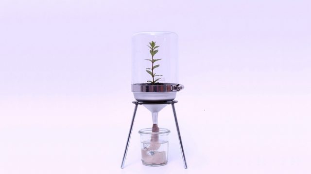 HYGRO STAND Ⅱ湿生植物专用种植架更新项目丨PLANTS DESIGN（代表:マックス（竹内一馬））-0