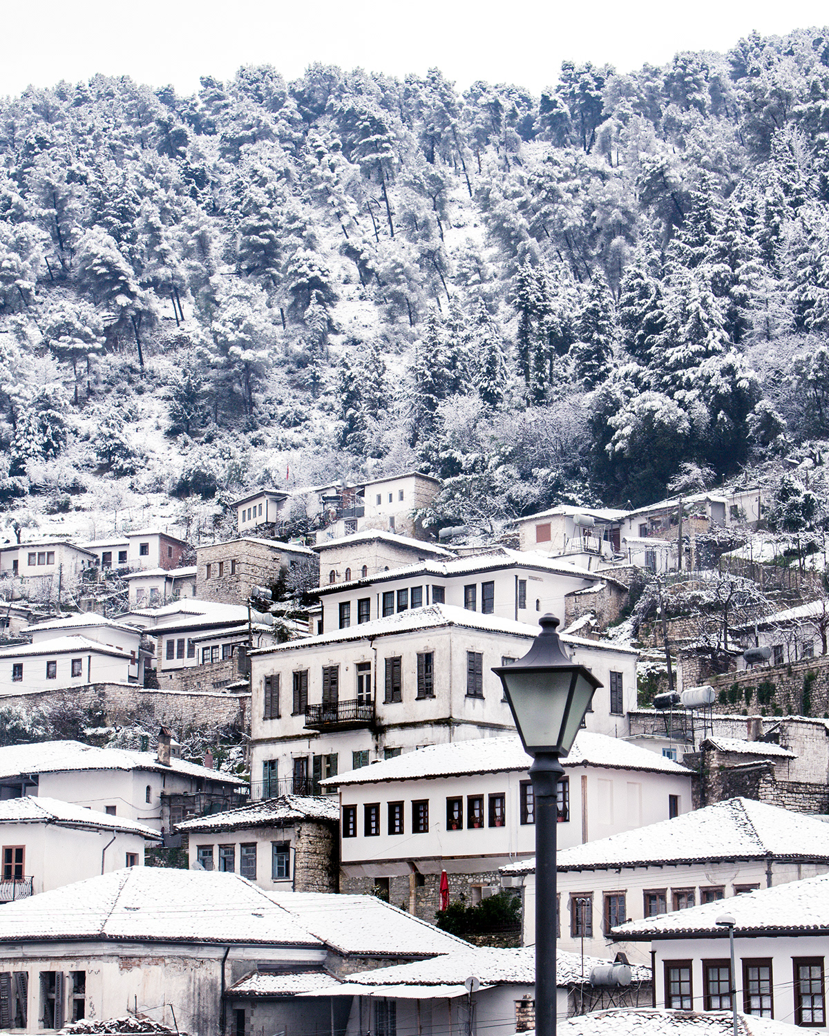 Anastasiya Gushchina丨乡村建筑丨Snow day-0