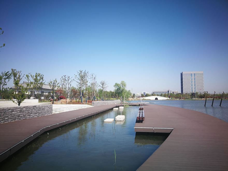 泰兴市虹桥镇虹润湿地公园-19