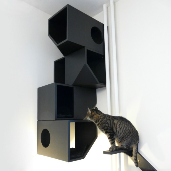 四层猫咪屋丨Mojorno-12