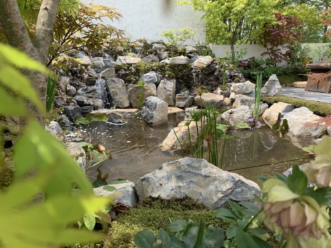 2019 西湖花园节创意花园设计亮点解读-54